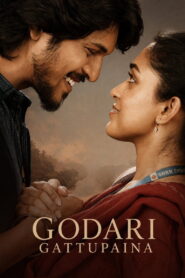 Godari Gattupaina
